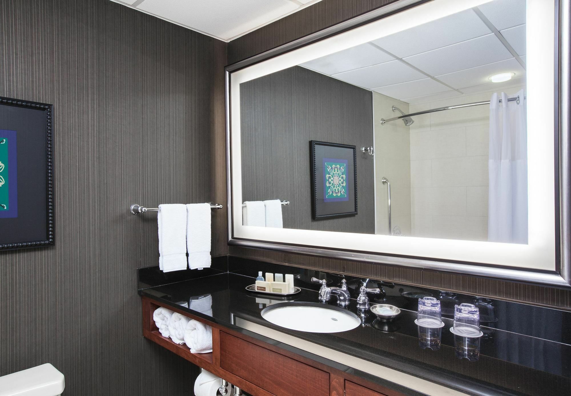 Hotel Delta By Marriott Baltimore 3*